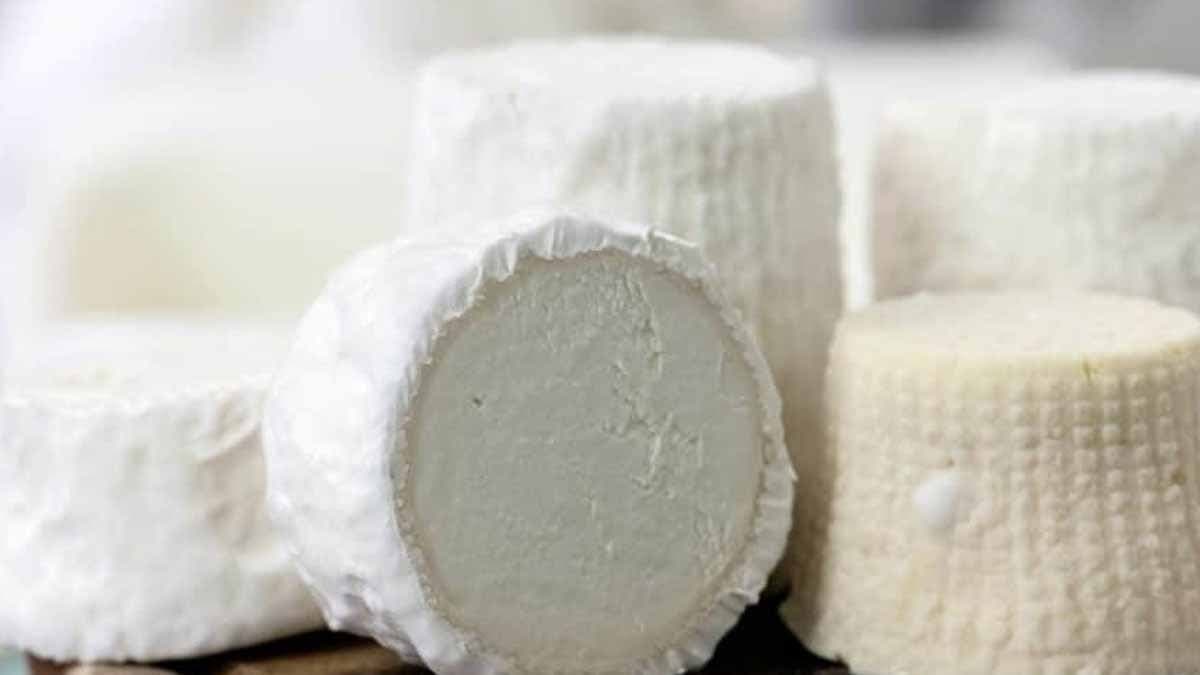 Dünyanın en pahalı peyniri hangi sütten yapılıyor?