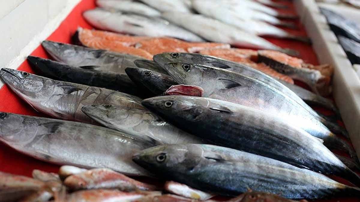 En sağlıksız 3 balık türü belirlendi, dikkatli olun.