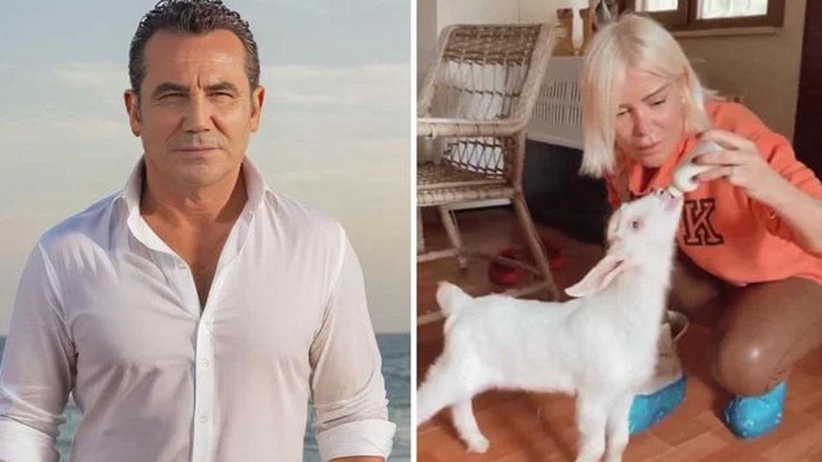Ferhat Göçer, Ömür Gedik'in keçi paylaşımına yorum yaptı