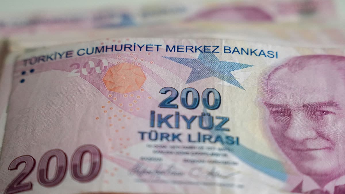 Nadir bulunan 200 TL'lik banknot koleksiyon parçası oldu