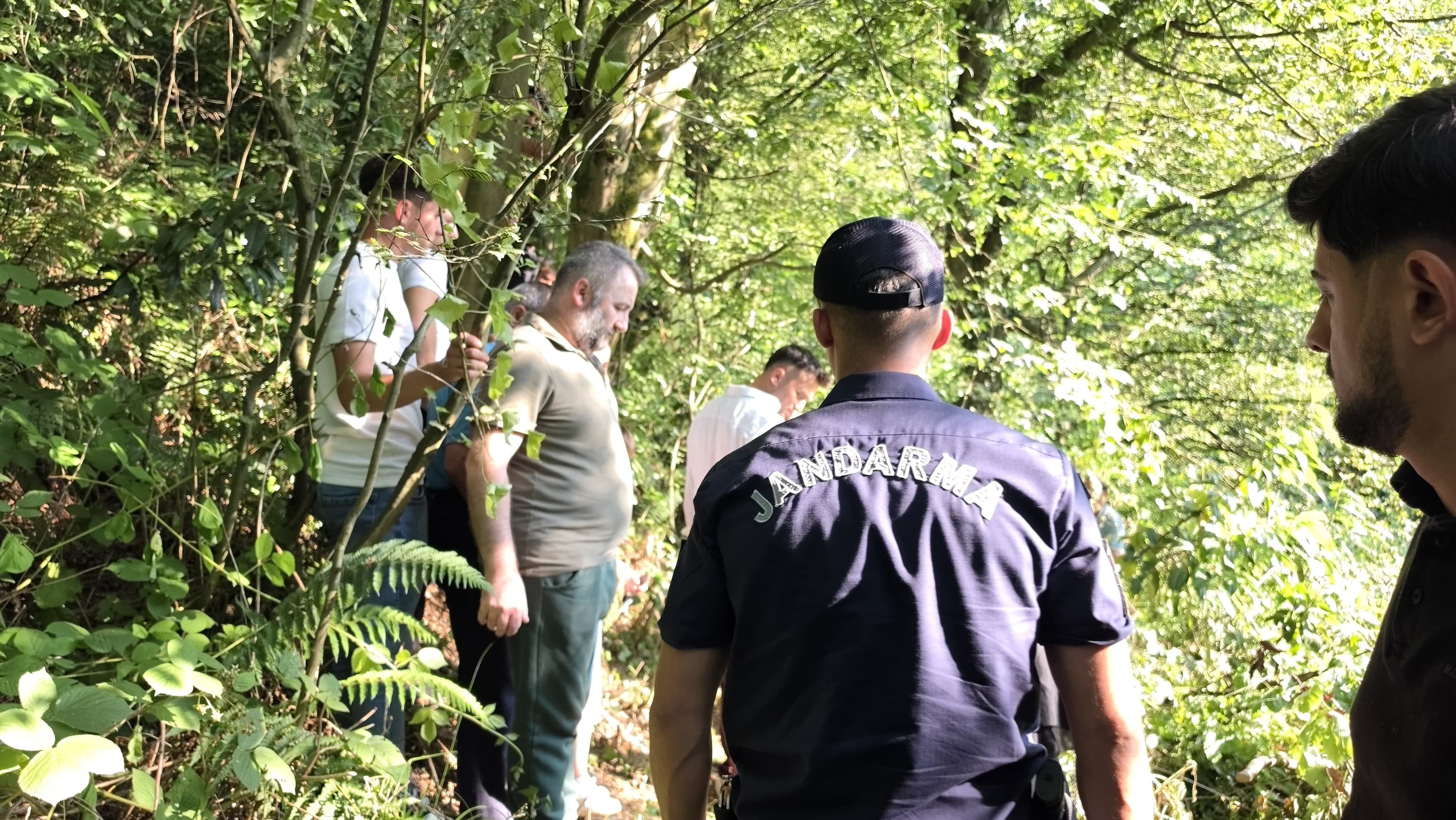 Sakarya'da ıhlamur toplamaya giden adam ormanda ölü bulundu