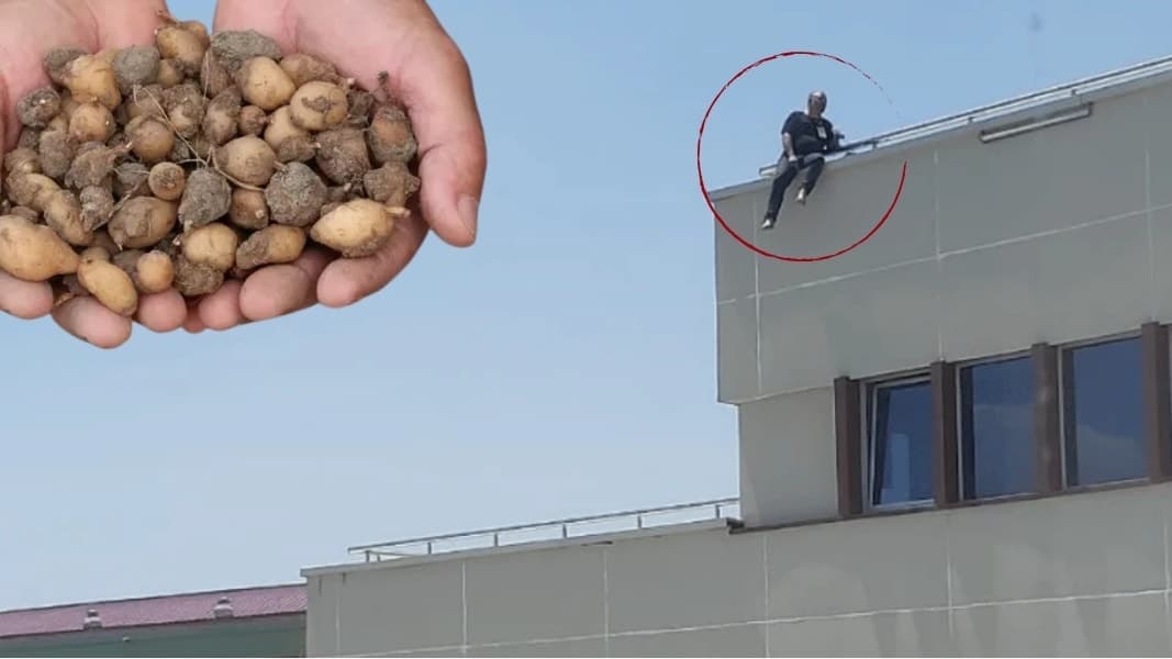 Yabani salep toplayan kişiye 2 milyon ceza kesildi