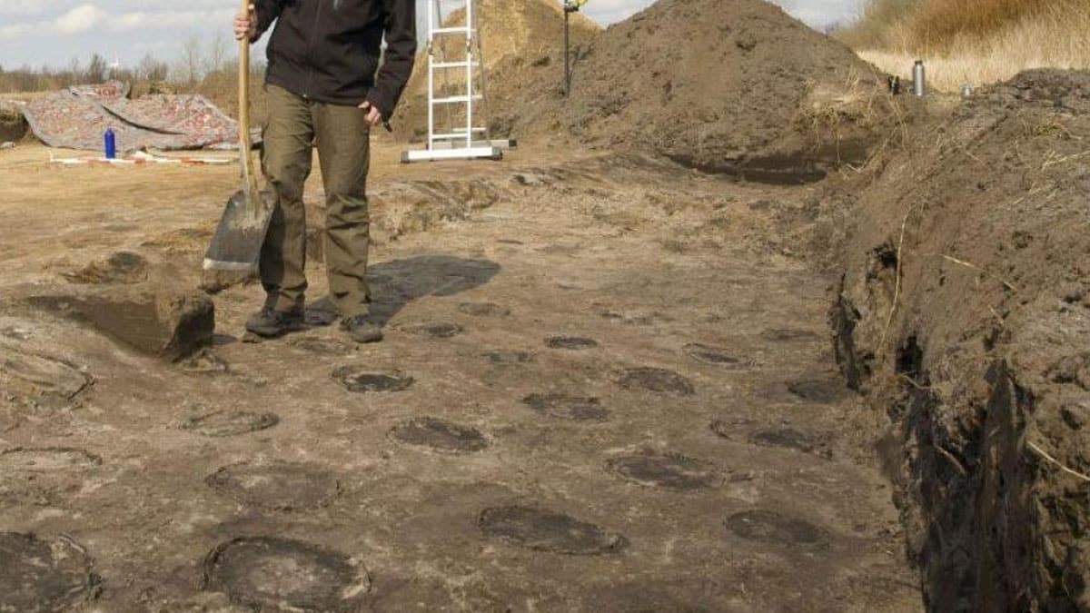 Danimarka'da 2500 yıllık gizemli çukur kuşakları keşfedildi