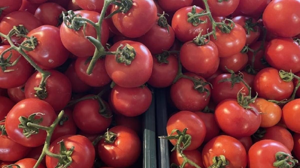 Domates tüketirken dikkatli olun