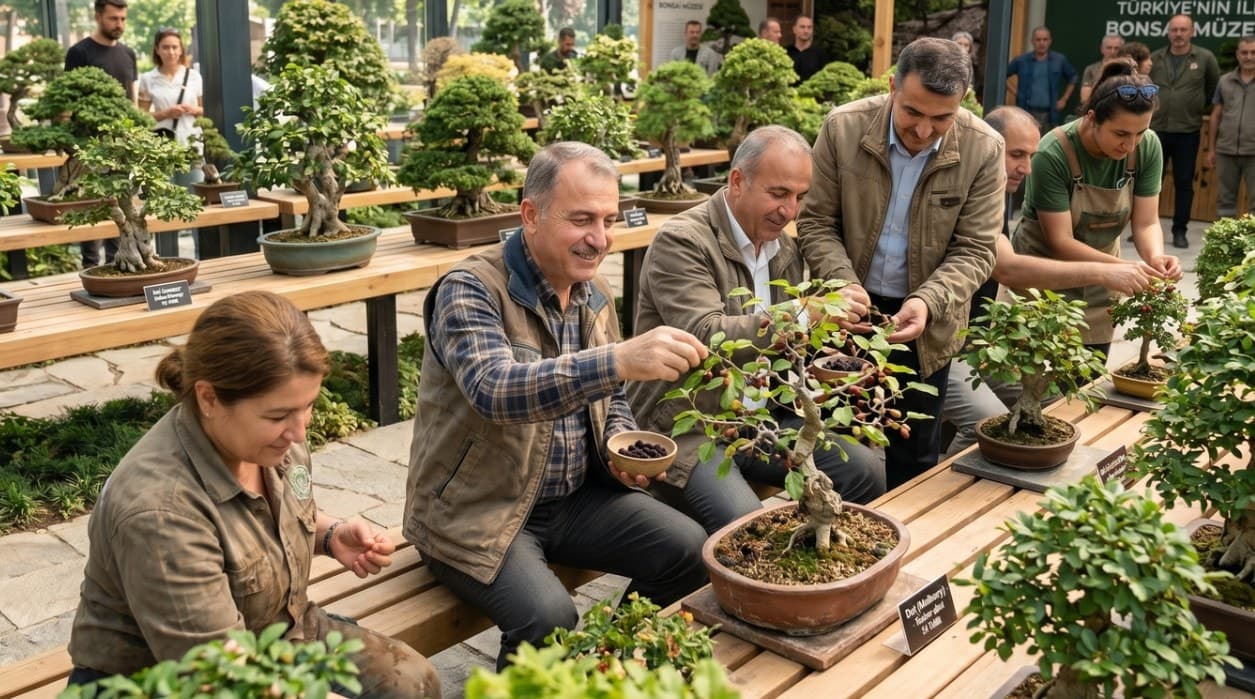 Yalova'da Türkiye'nin ilk bonsai müzesi hasat yaptı