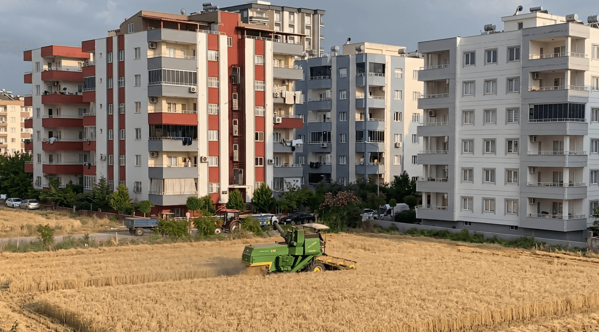 Milyonluk teklifleri geri çeviren vatandaş arazisini ekiyor