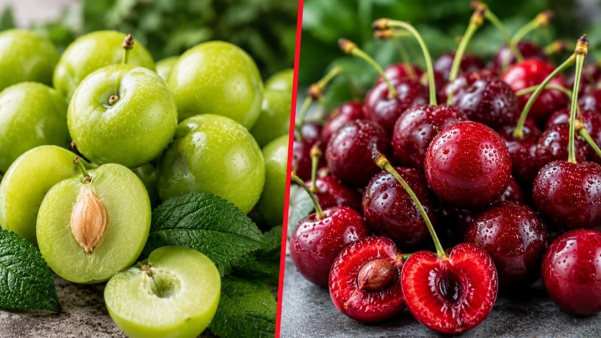 Yazın popüler meyveleri: Yeşil erik ve kirazın sağlık faydaları