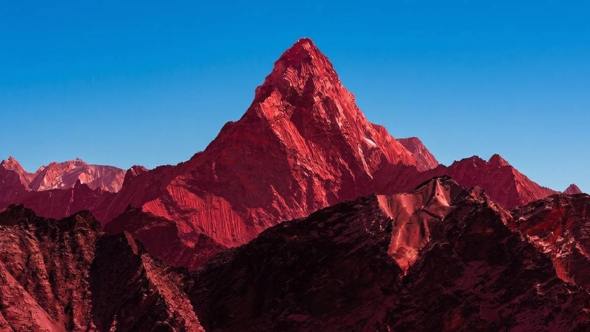 Az su ihtiyacıyla dağları renklendiren bitki: Sedum rubrotinctum