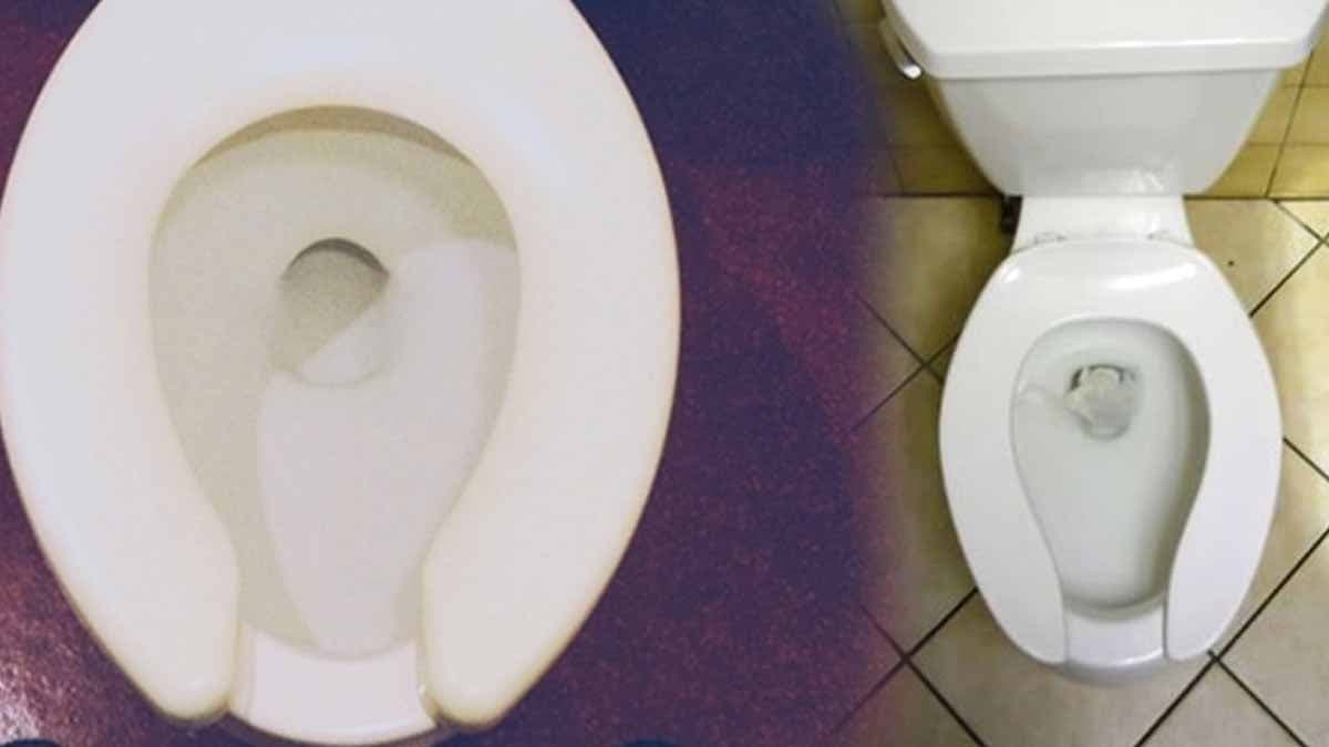 Amerika'da U şeklindeki klozet kapaklarının mantıklı bir nedeni var