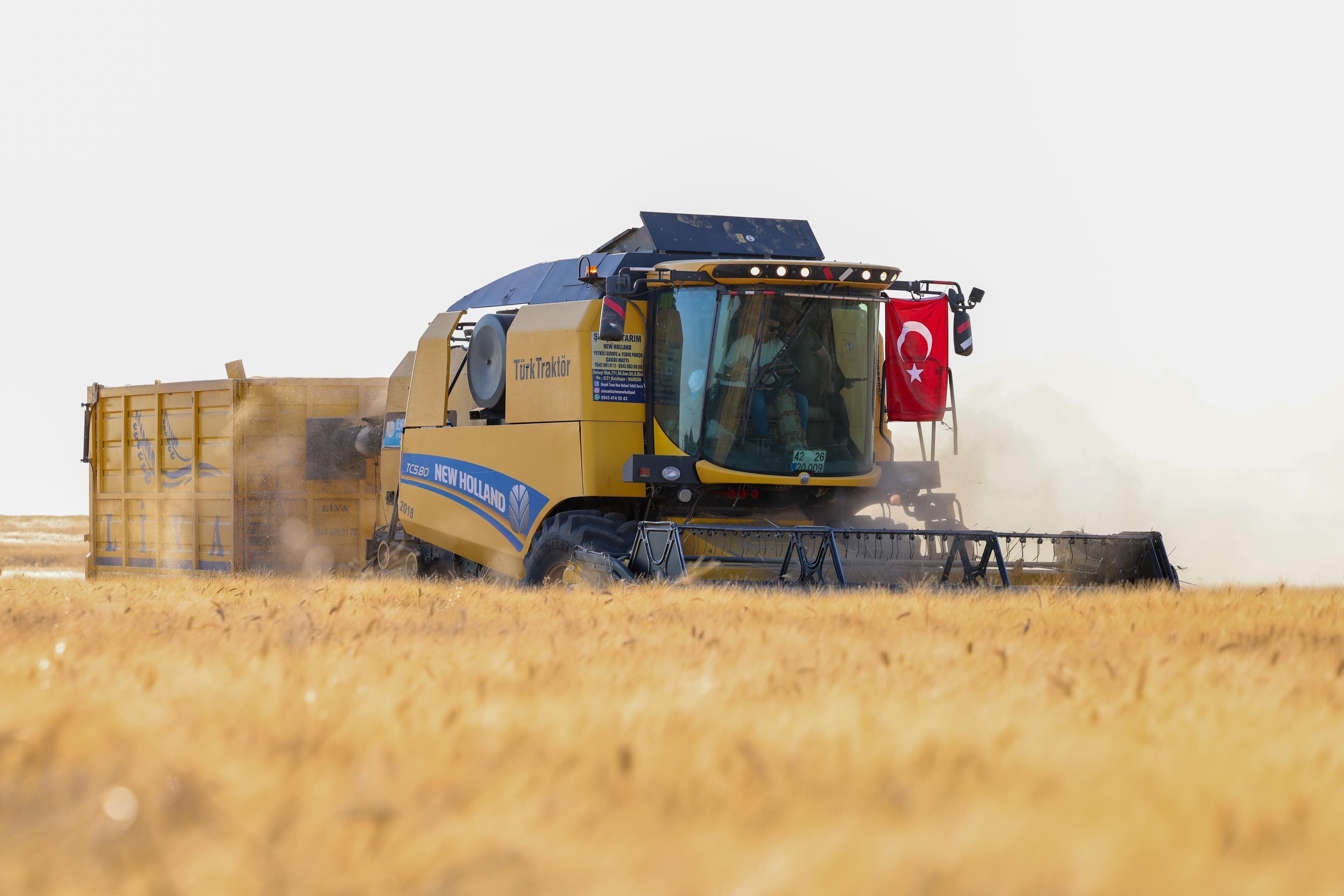 Mardin Ovası'nda buğday hasadı başladı, hedef 709 bin ton