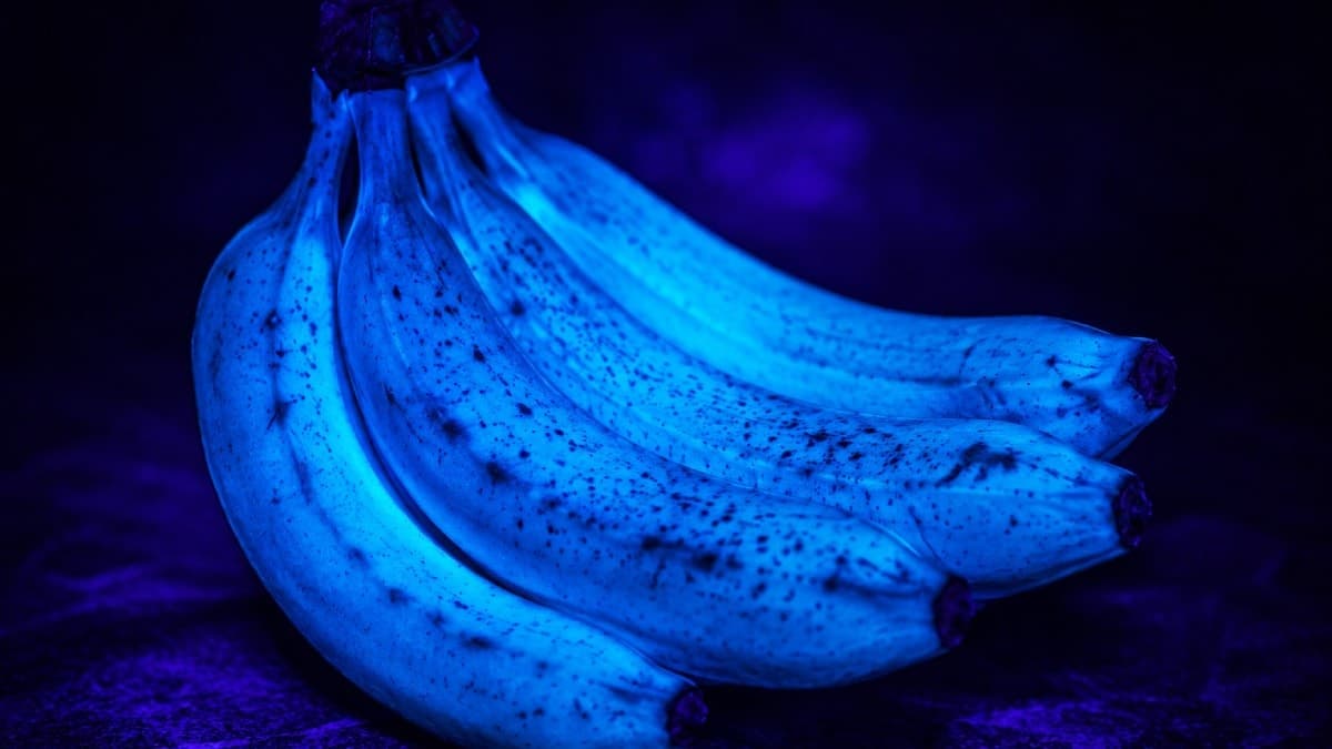 Muzlar UV ışığı altında mavi bir görünüm kazanıyor