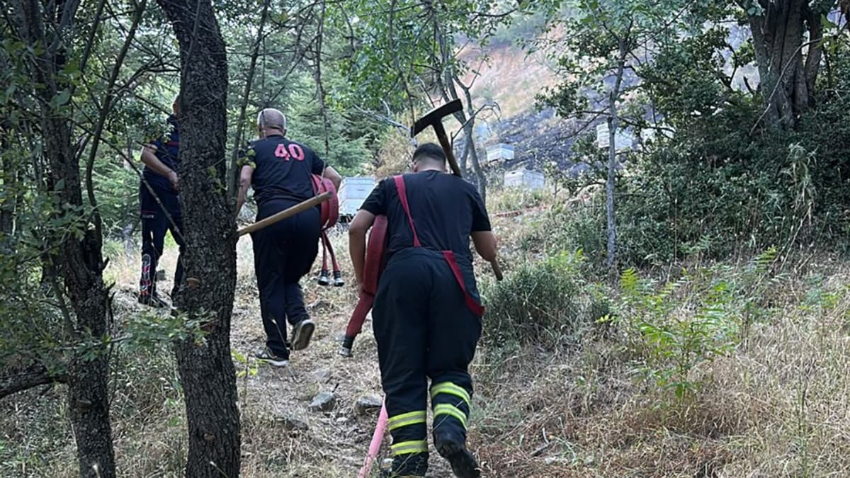 İtfaiye ekibi yangın söndürürken arıların saldırısına uğradı