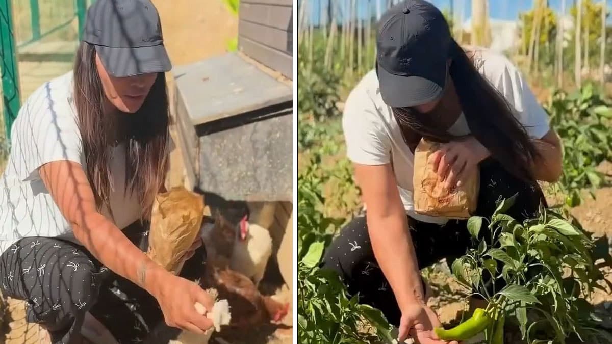 Asena, Yalova'daki çiftliğinde doğal yaşam sürüyor