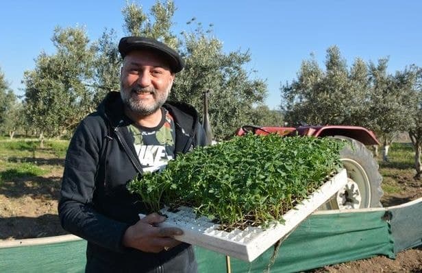 Hüsnü Şenlendirici köyde hasat hazırlıklarına başladı