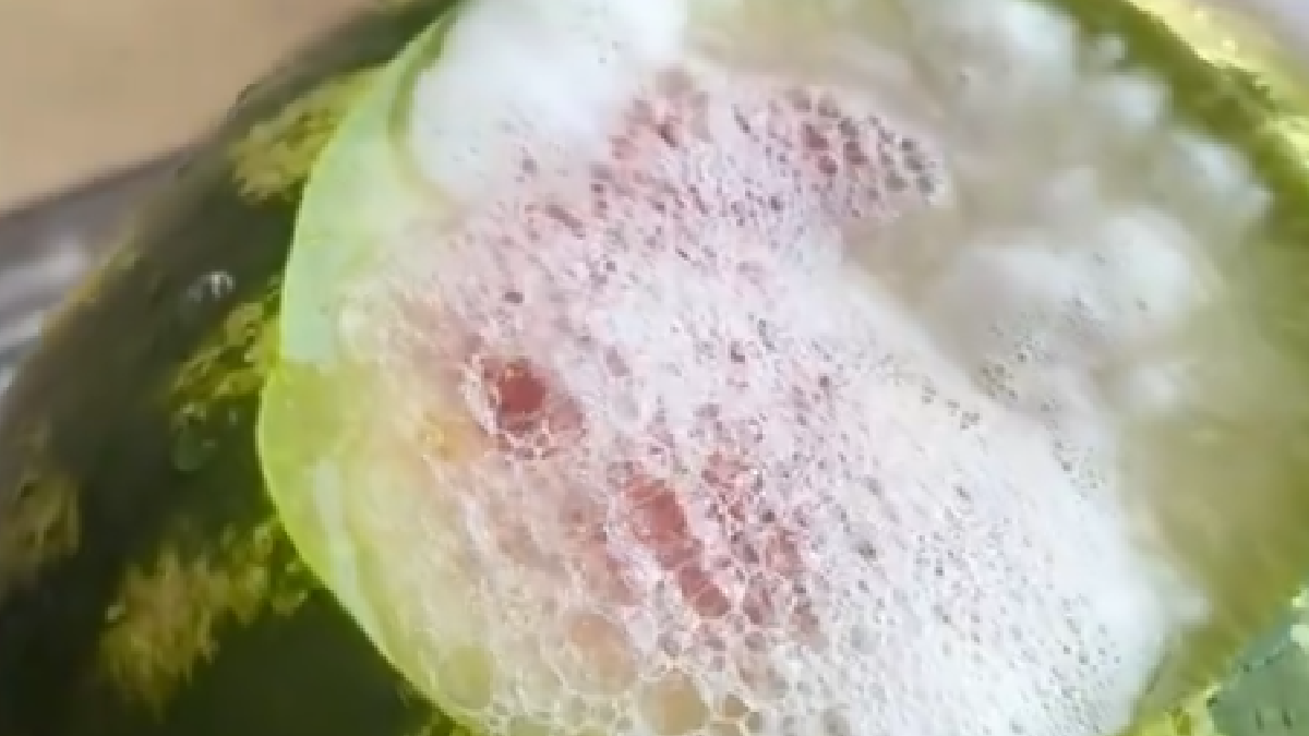 Sosyal medyada köpüren karpuz videoları yayıldı