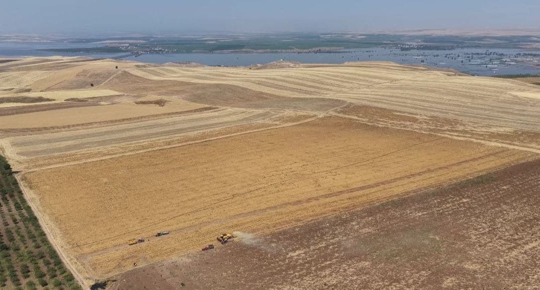 Kuru arazide yetiştirilen ürünlerin fiyatı 45 TL'ye ulaştı