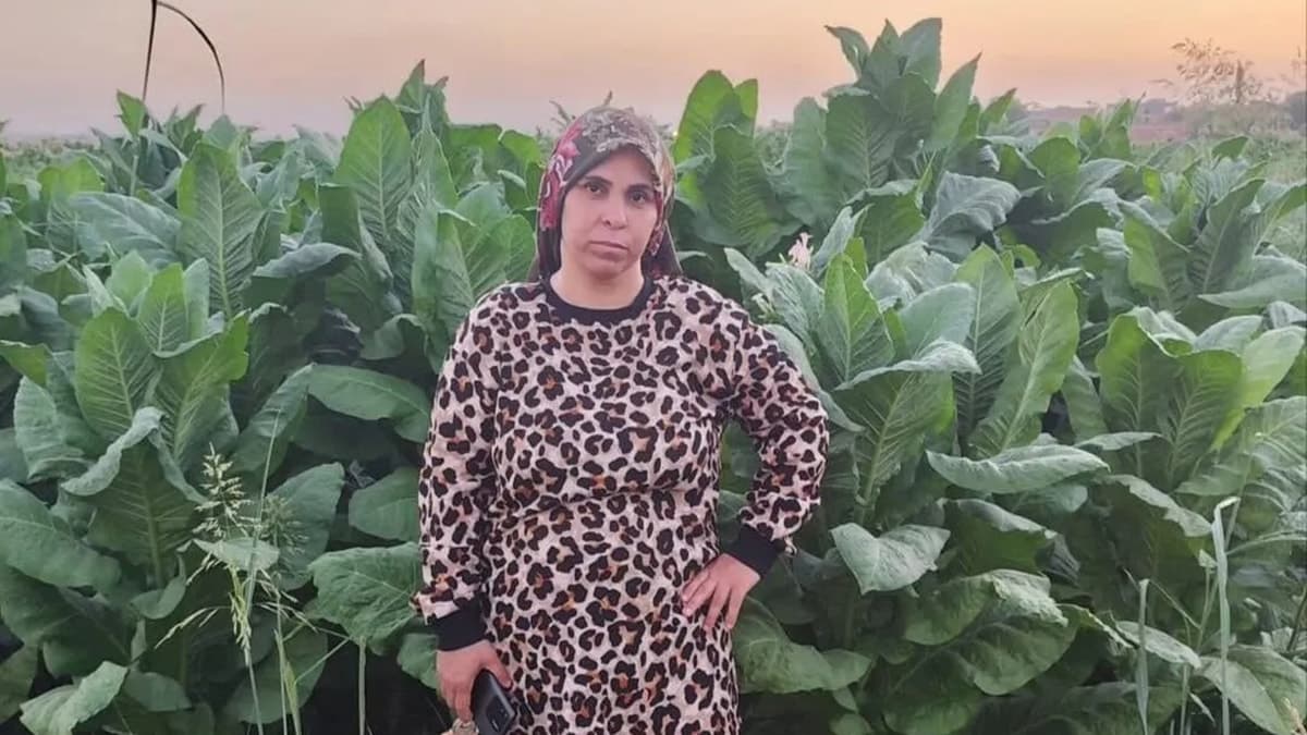 Diyarbakır'da tarlada çalışan 3 çocuk annesi kadın beyin kanaması geçirerek hayatını kaybetti