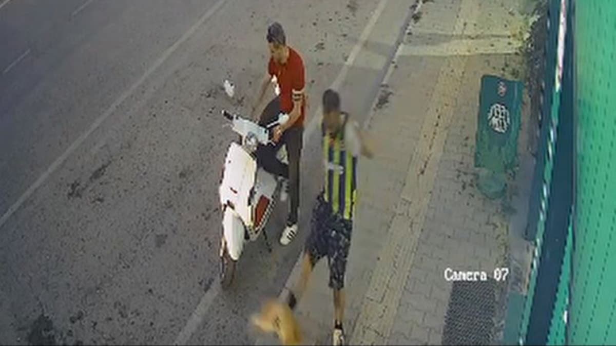 Kediye tekme atan kişiye vatandaşlardan tepki gösterildi