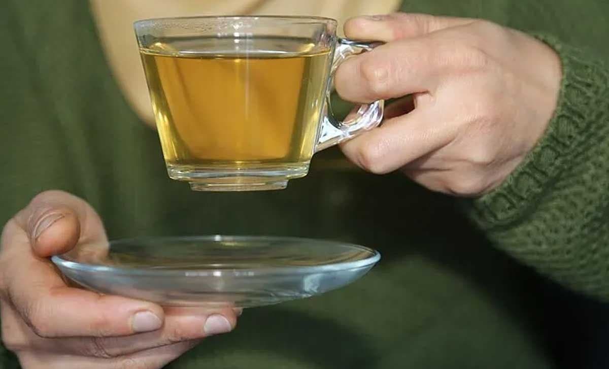 60 yaş üstü için yeşil çayın faydaları sağlık uzmanları tarafından öneriliyor