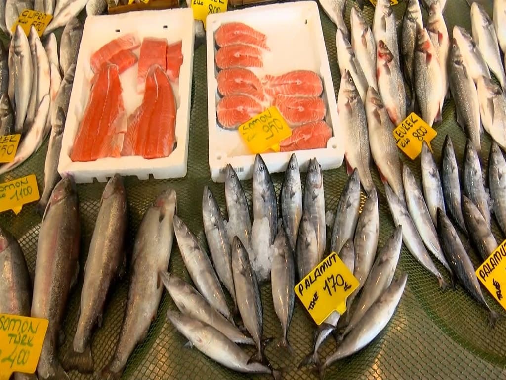 Karadeniz ve Marmara'da bu yıl bol ve ucuz balık avı bekleniyor