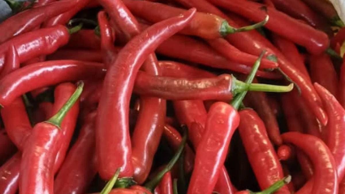 Almanya'ya gönderilen biberlerde yasaklı madde bulundu