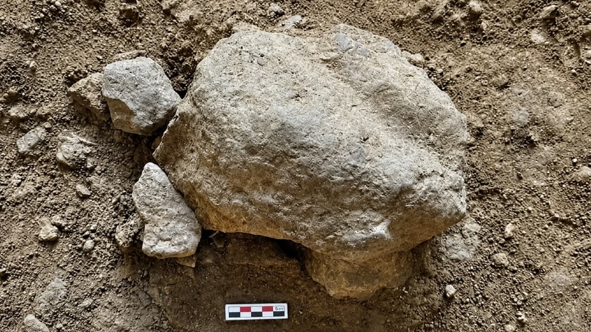 Bilecik'te 14 bin 500 yıllık kaplumbağa heykelciği bulundu