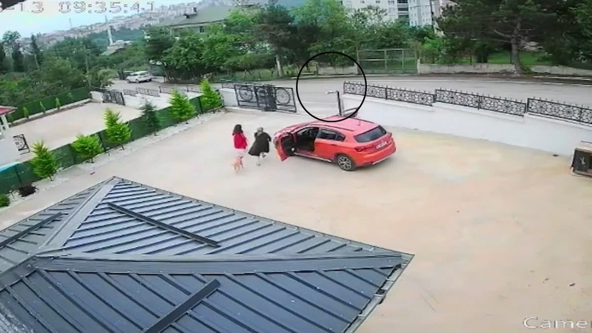 Otomobilin çarptığı köpek hayatını kaybetti, sahibi bayıldı