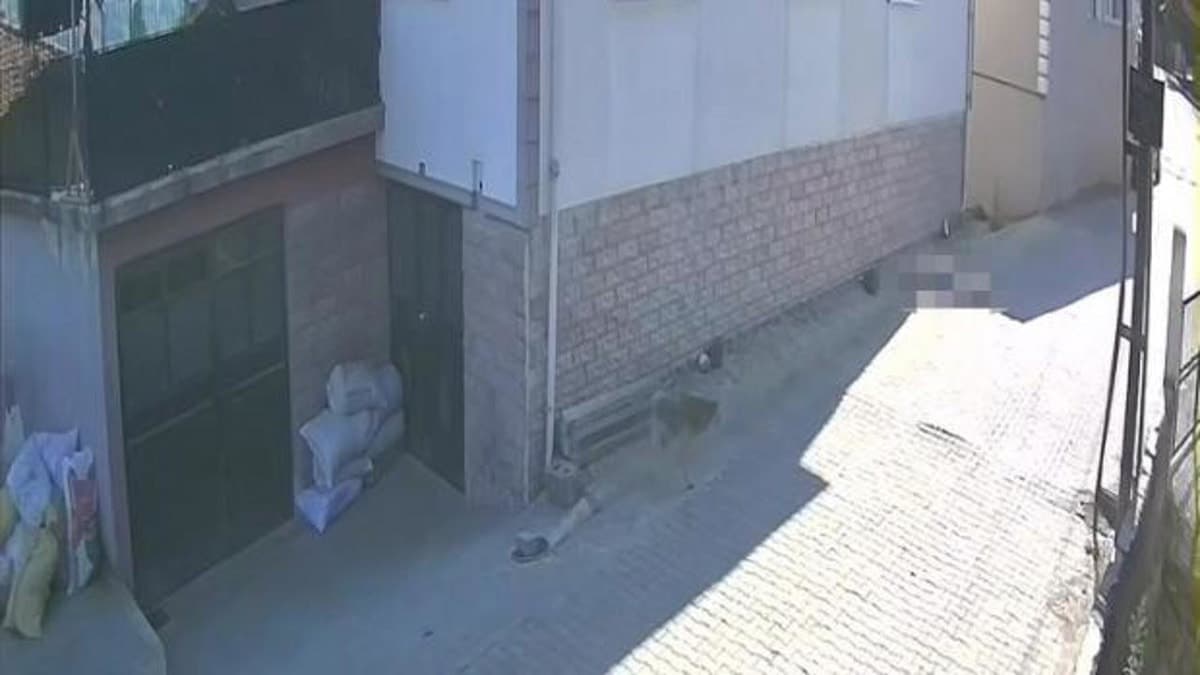 Balkondan düşen kadın hayatını kaybetti