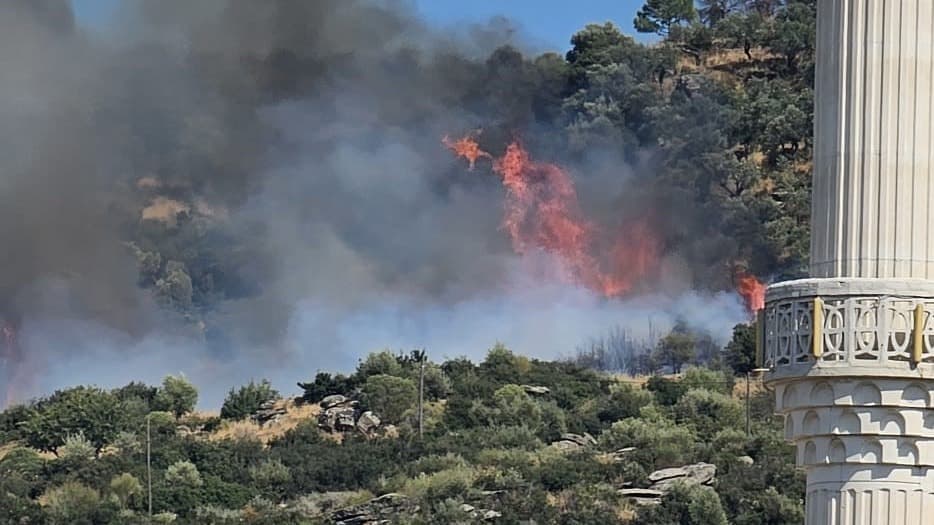 Gebze'de ormanlık alanda yangın çıktı, ekipler müdahale ediyor
