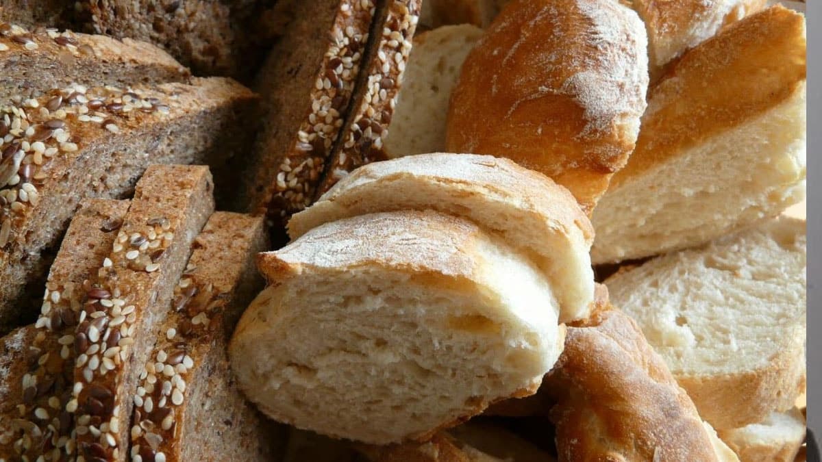 Bağırsak sağlığı için en uygun ekmek türü belirlendi