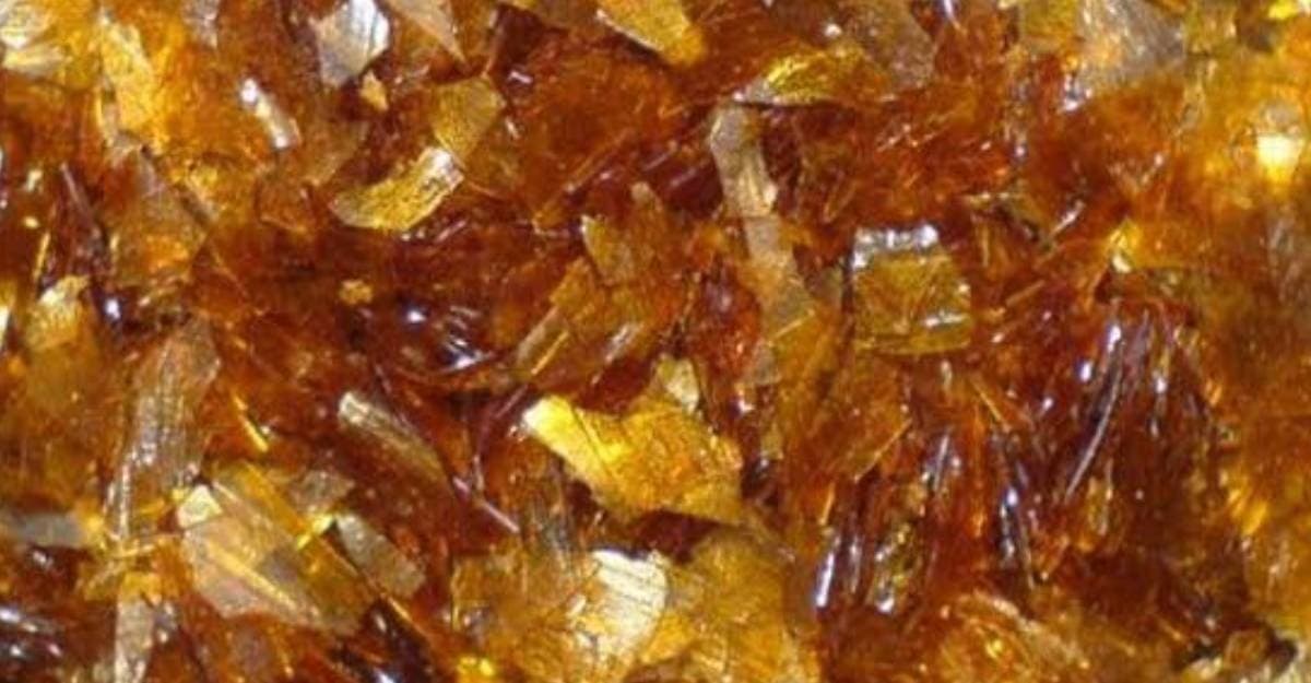 Böceğin dışkısından yapılan ürünlerin fiyatı milyonları buluyor