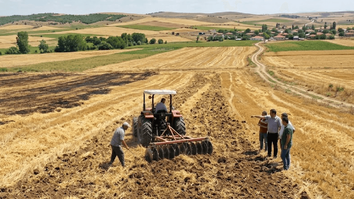 Hasat sonrası anız yakılmamalı, toprakla karıştırılmalı