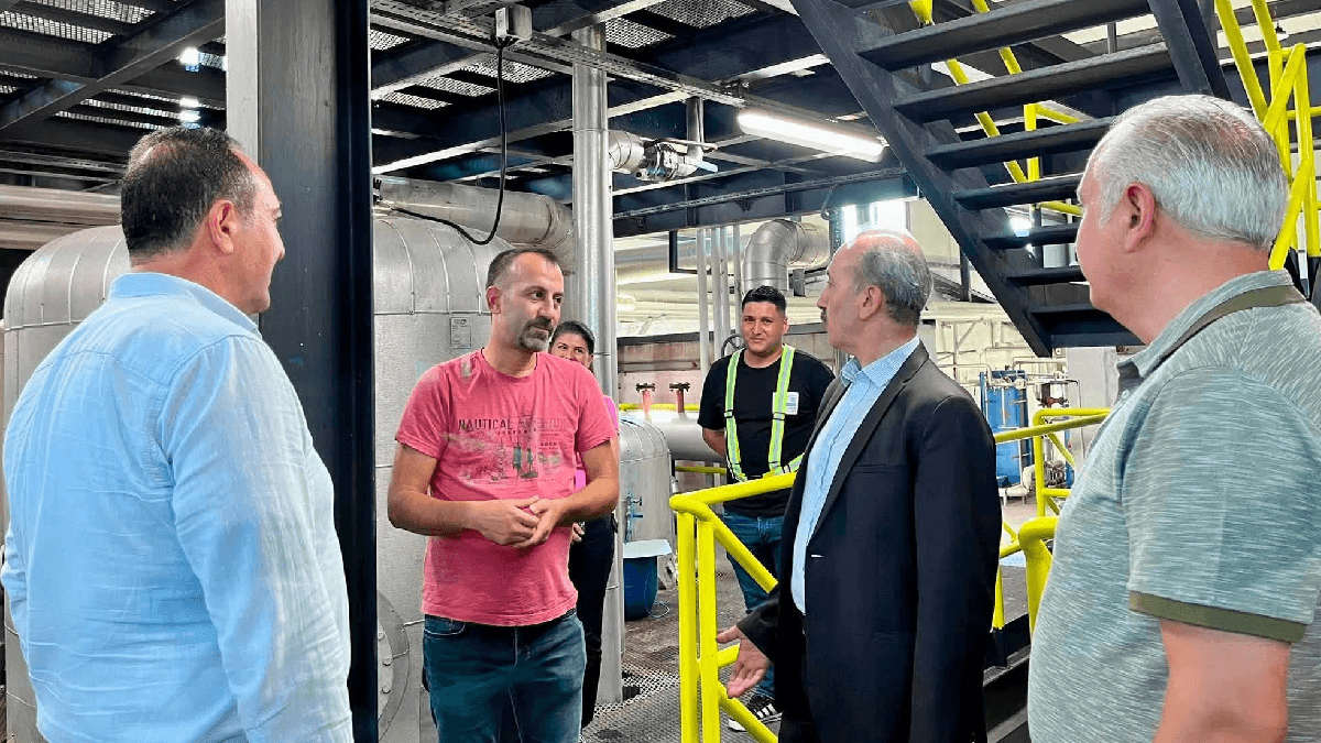 Balıkesir zeytin hasadı için hazırlıklar tamamlandı