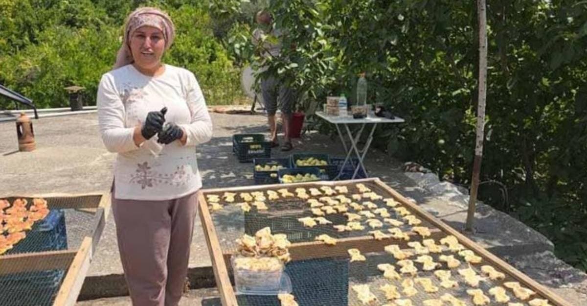 Mersin'de 200 yaşındaki meyve 800 liradan satılıyor