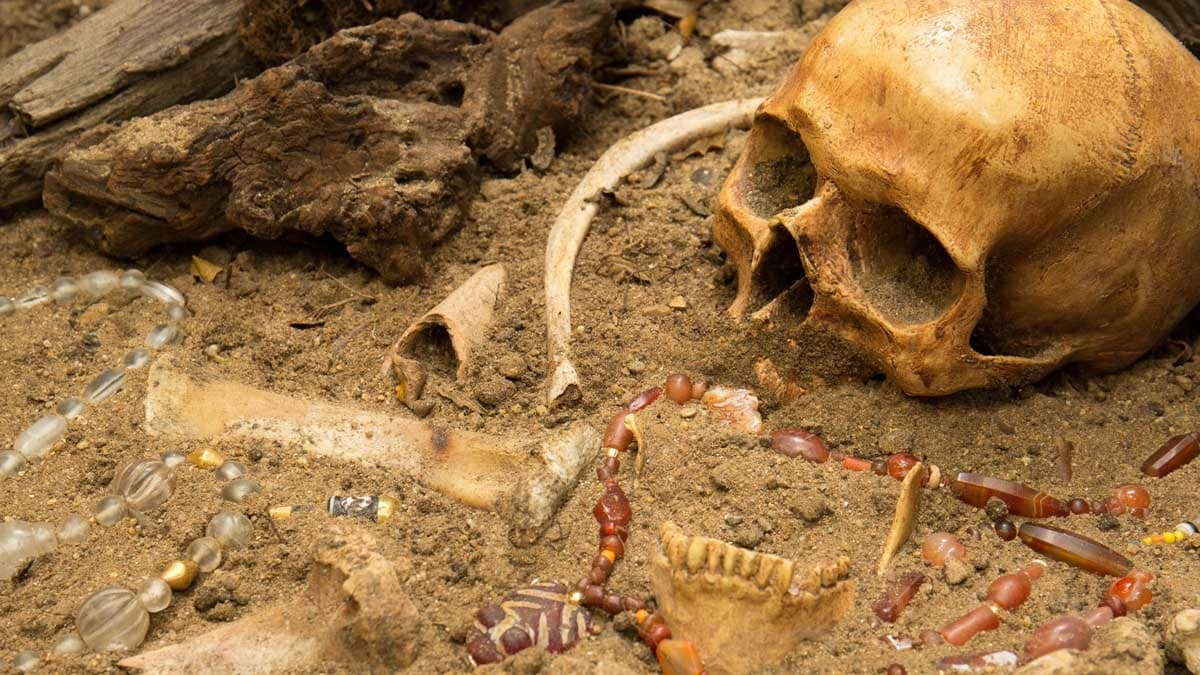 12 bin yıllık iskeletlerde nadir hastalık izleri bulundu