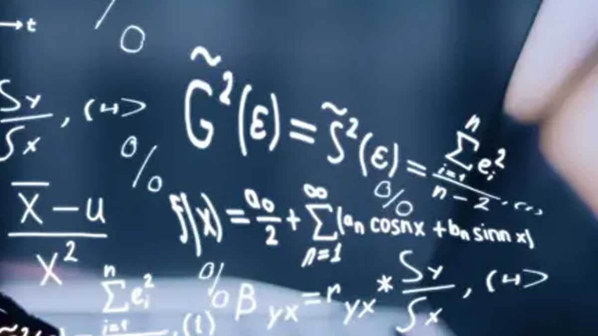 Bal arıları matematik yapabiliyor