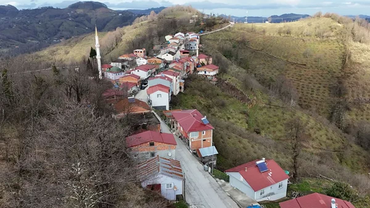 Samsun ve Ordu'yu ayıran cadde: Tek adımla şehir değiştiriliyor