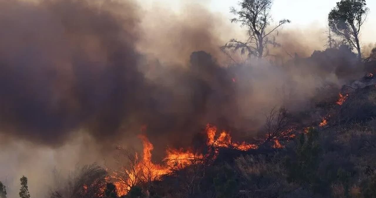 Fethiye'de orman yangınına müdahale sürüyor