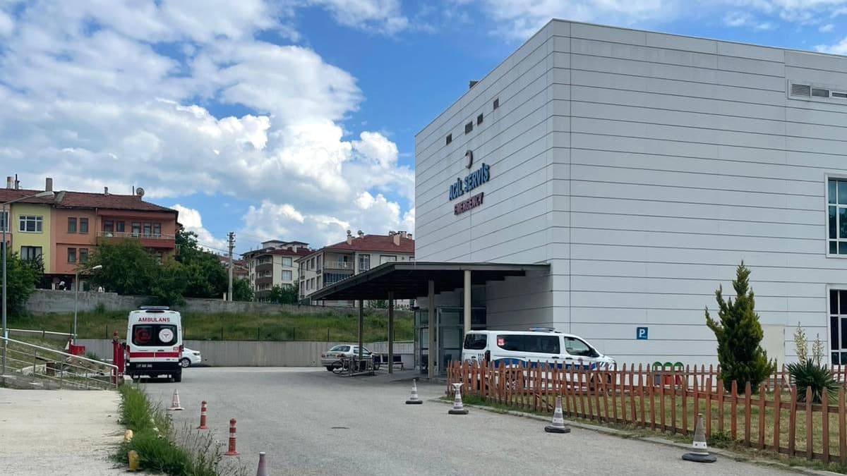 Ağaç kesen orman işçisi arı sokması sonucu hayatını kaybetti