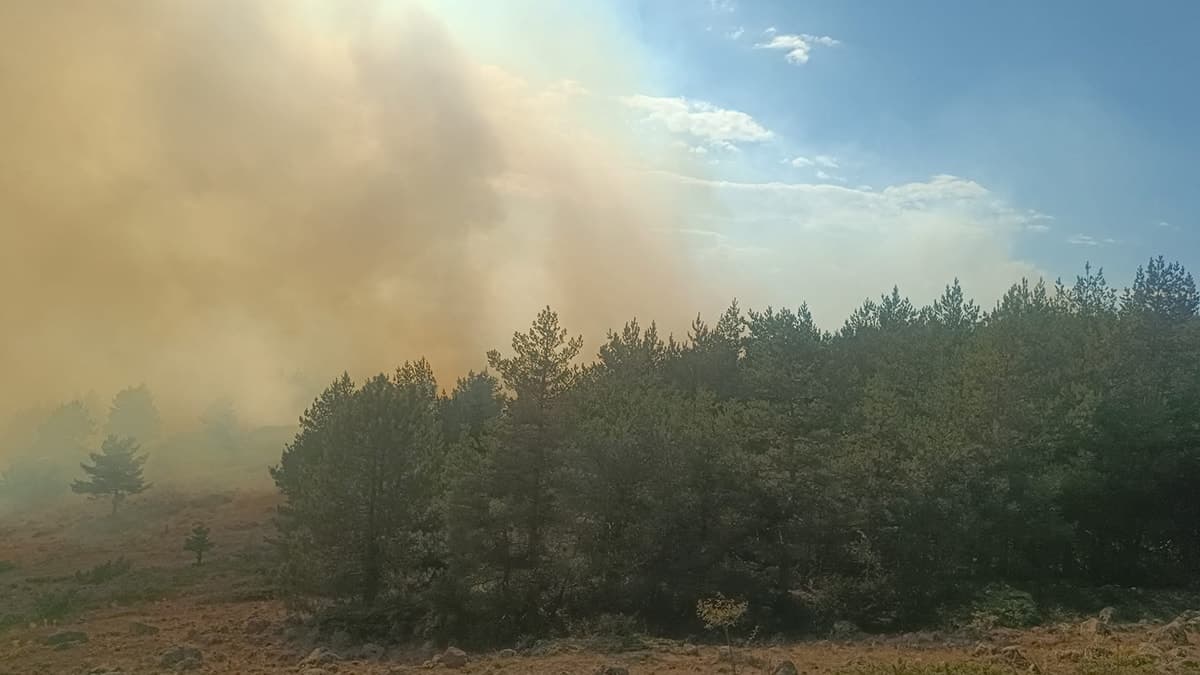 Bolu Gerede'de orman yangını çıktı