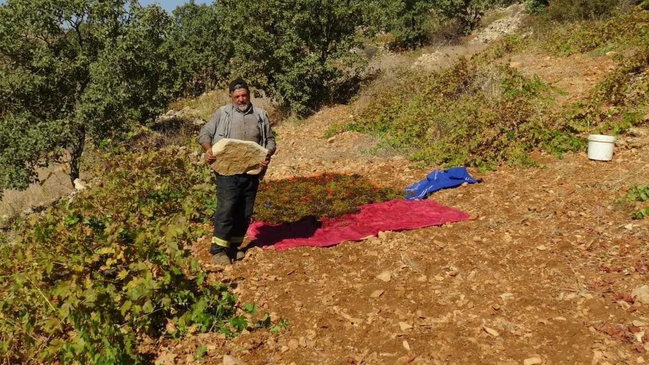 Özel su ile 10 gün bekletilen ürünler kışa hazırlanıyor