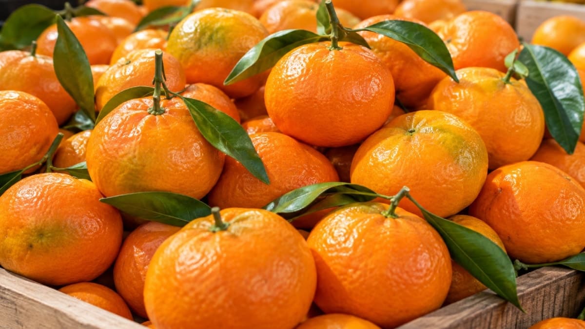 Mandalina alırken dikkat edilmesi gereken işaretler