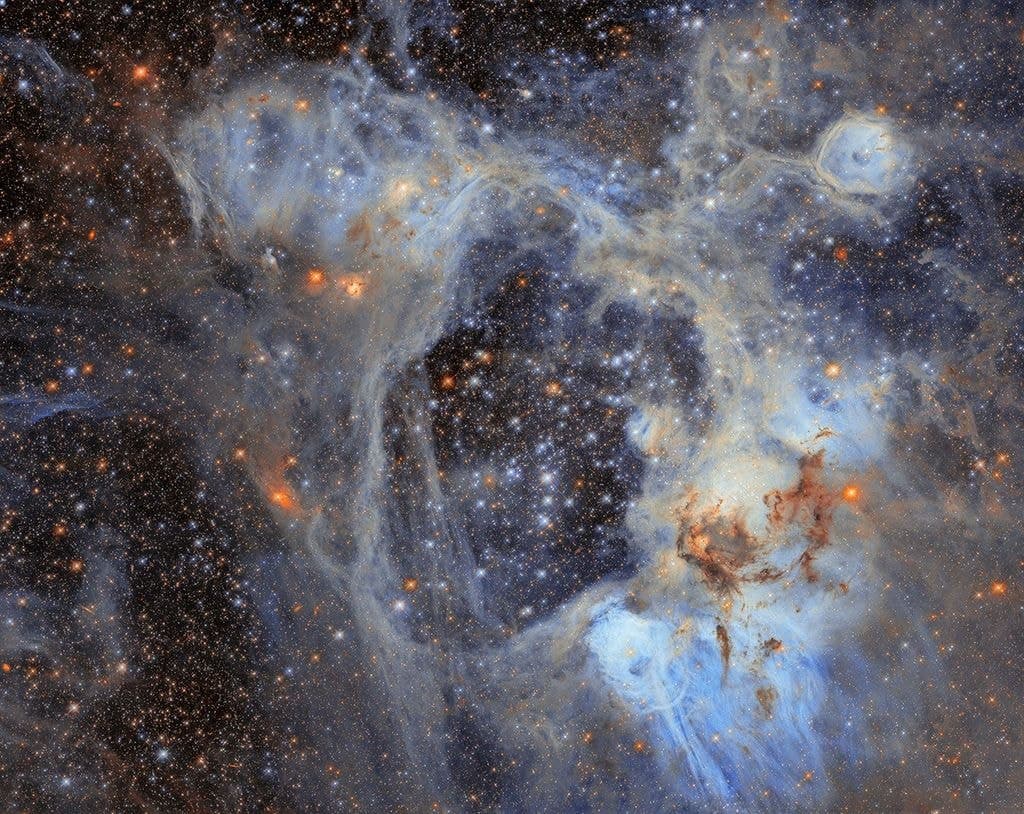 NASA, evrende yeni bir tür keşfetti