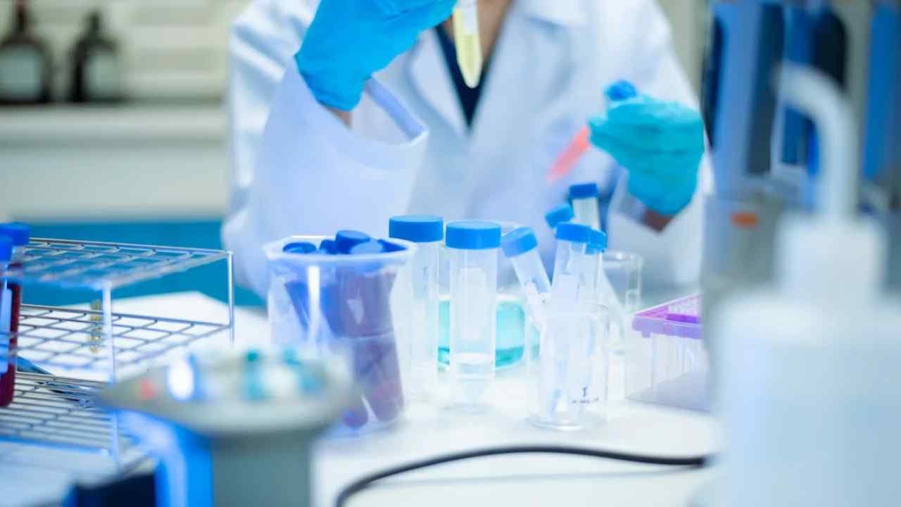 Ölümsüz canlı dünya genelinde yayılmaya başladı