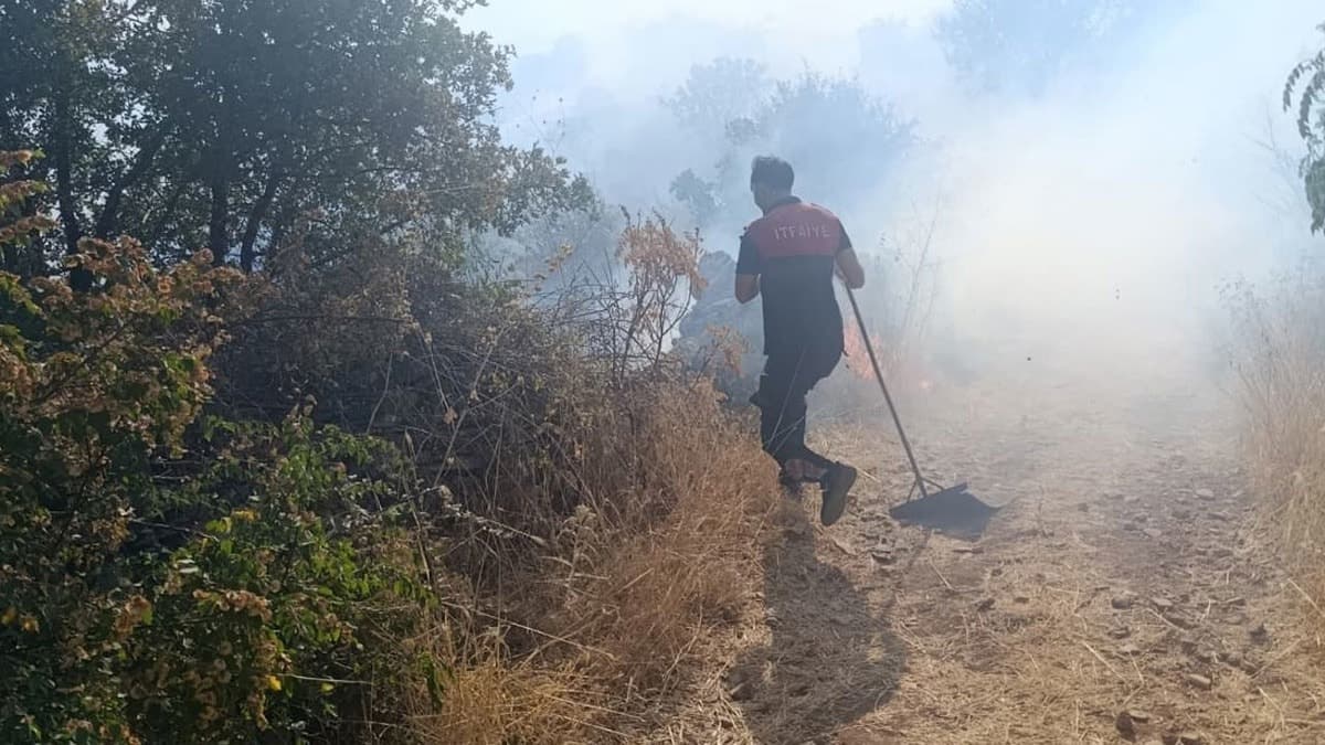 Siirt'te orman yangınına müdahale ediliyor