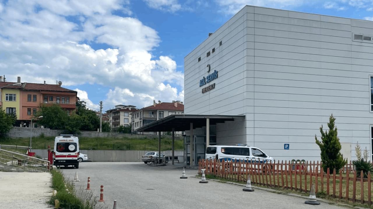 Ağaç kesen orman işçisi arı sokması sonucu hayatını kaybetti