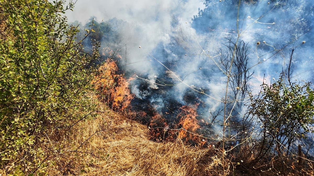 Demirci'de yol kenarındaki yangın ormana sıçradı, ekipler müdahale etti