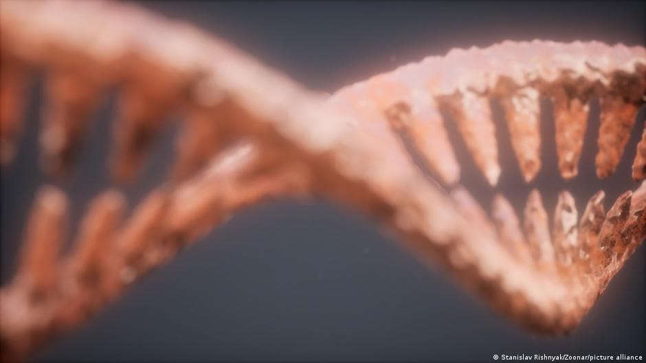 Bacterial Protein Challenges Established Rules of DNA Replication