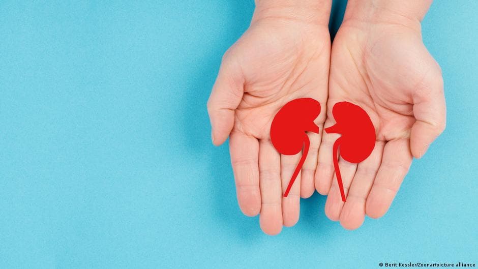 Germany's Bundestag to Consider Changes to Organ Donation Policy