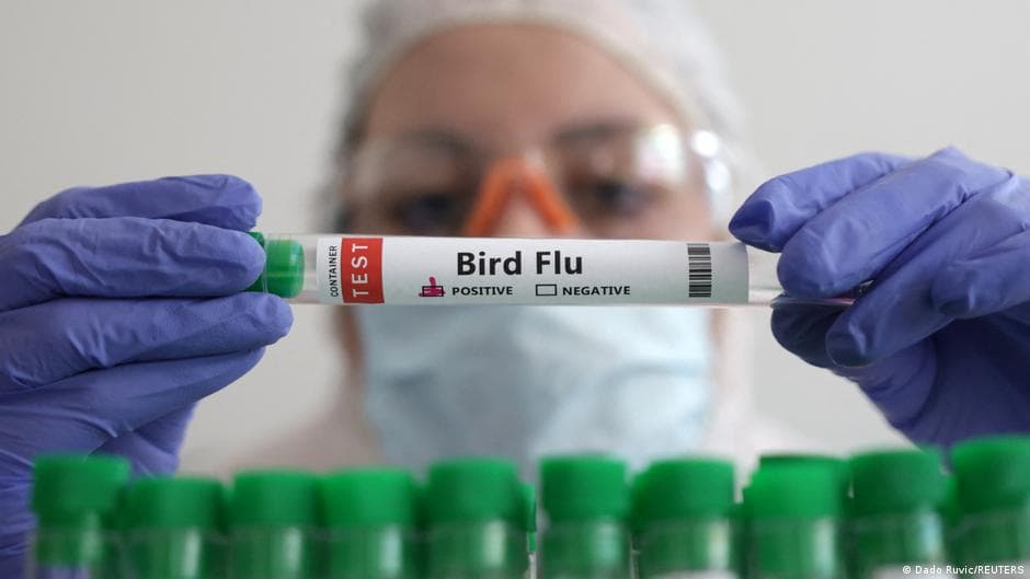 Australia Confirms First Case of H5 Bird Flu in Migratory Sea Bird